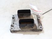 Engine control unit/module ECU