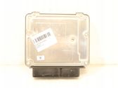 Engine control unit/module ECU
