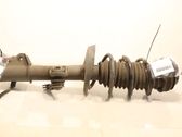Front shock absorber with coil spring