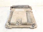 Engine control unit/module ECU