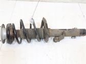 Front shock absorber with coil spring