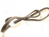 Seal rubber (tailgate)