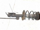 Amortiguador delantero con muelle espiral