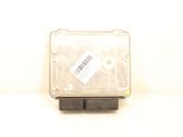 Engine control unit/module ECU