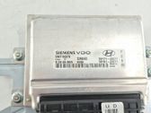 Engine control unit/module ECU