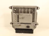 Engine control unit/module ECU
