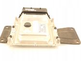 Engine control unit/module ECU