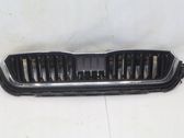 Atrapa chłodnicy / Grill