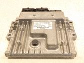 Engine control unit/module ECU