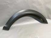 Fender trim (molding)