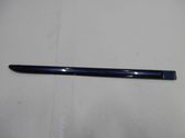Rear door trim (molding)
