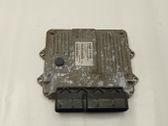 Engine control unit/module ECU