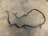 Other wiring loom