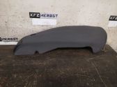 Rear door airbag