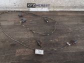 Other wiring loom