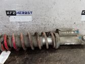 Rear shock absorber with coil spring