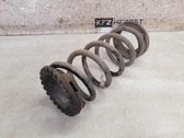 Muelle espiral trasero