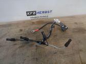 Other wiring loom
