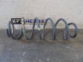Muelle espiral trasero
