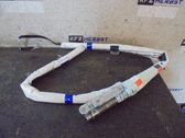Airbag del techo