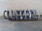 Muelle espiral trasero
