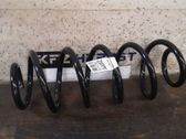Rear coil spring