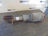 Front shock absorber with coil spring