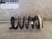 Rear coil spring