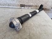 Rear shock absorber/damper