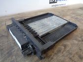 Electric cabin heater radiator