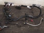 Faisceau de câblage pour moteur