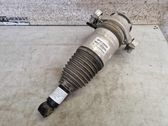 Rear shock absorber with coil spring