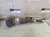 Front shock absorber with coil spring