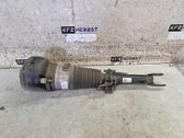 Front shock absorber with coil spring