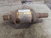Filtro de partículas del catalizador/FAP/DPF