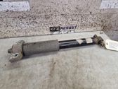 Stoßdämpfer hinten