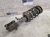 Front shock absorber with coil spring
