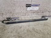 Tailgate/trunk strut/damper