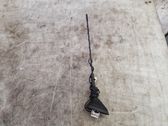 Radion antenni