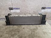 Intercooler radiator