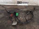 Other wiring loom