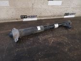 Stoßdämpfer hinten