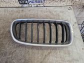 Front grill