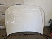Engine bonnet/hood