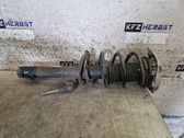 Front shock absorber with coil spring