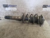 Front shock absorber with coil spring