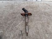 Inyector de combustible