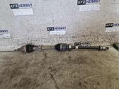 Drive shaft (set)