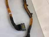 Other wiring loom