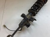 Front shock absorber with coil spring